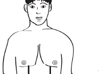Abdominopelvic regions
