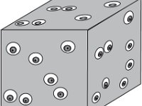 3D_cell; Histology, hyaline cartilage CT