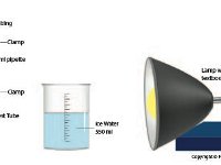 Photosynthesis Experimental Design with Elodea  light, photosynthesis, elodea : light, photosynthesis, elodea