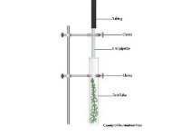 Photosynthesis Experimental Design with Elodea 3  light, photosynthesis, elodea	test tube, clamp : light, photosynthesis, elodea, test tube, clamp