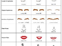 Facial Traits table 2  dominant, hybrid, recessive, eyelashes, eyebrows, nose, lips, ears, mouth, freckles, dimples : dominant, hybrid, recessive, eyelashes, eyebrows, nose, lips, ears, mouth, freckles, dimples