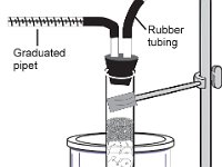 Experimental Design for Germinating Seeds: Step 2  KOH pellets, cotton, germinating seeds, cellular respiration, pipet, water bath : KOH pellets, cotton, germinating seeds, cellular respiration, pipet, water bath