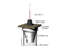 STYROFOAM CUP CALORIMETER (labels)  STYROFOAM CUP CALORIMETER (labels)