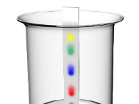 PAPER STRIP CHROMATOGRAPHY  PAPER STRIP CHROMATOGRAPHY