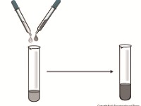 Droppers  medicine dropper, pipette, transfer, test tube