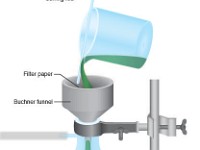 Suction Filtration  suction, filter, flask, Erlenmeyer flask, filter paper, ring stand, clamp, Buchner funnel, water, stirring rod, liquid, filtrate