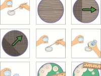Antibiotic Sensitivity Test  bacteria, E-coli, colony, petri dish, antibiotic : bacteria, E-coli, colony, petri dish, antibiotic