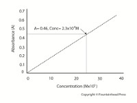 Beer's Law Plot  Beer Lambert, Assay, Bioassay, concentration, time, path length, absorbance, analysis