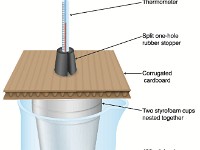 Constant Pressure Calorimeter  heat capacity, calorimetry, temperature, beaker, heat, specific heat