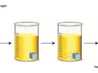 Print  solubility, dissolve, sugar, glucose, hydrophilic, homogenous, stir, solution, concentration