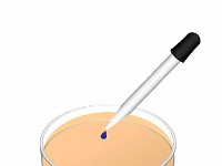 Dropper In Petri Dish  medicine dropper, dish, liquid, drop, pipette, transfer