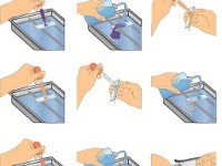 Gram Stain  acid fast, stain, slide, acid, positive, gram, bacteria, test