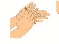 Hanging Drop  bacteria, drop, slide, glass, motility, dropper