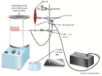 Kymograph Gastrocnemis Muscle  kymograph, blood, pressure, blood pressure, vessel, arteries, veins, caplillaries,  variations, muscle