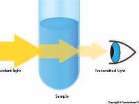 Light Transmission  spectroscopy, light, visible, ultraviolet, infrared, incident, transmitted, eye, visual, spectra
