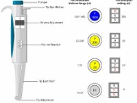 Pipette volume reading  microliters, volume, reading, accurate, eject, tips, expel, contain, deliver