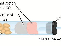 Respirometer  aerobic, anaerobic, respiration, oxygen, seeds, beads, cotton, potassium hydroxide