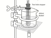 Solubility of Unknown Salts  dissolve, water, ions, polar, hydrophilic, temperature, beaker, heat, stirrer
